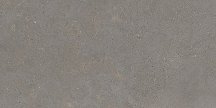 Graniti Fiandre Solida Grey Prelucidato 60x120
