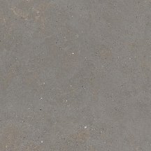Graniti Fiandre Solida Grey Prelucidato 60x60