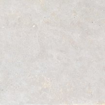 Graniti Fiandre Solida White Prelucidato 100x100