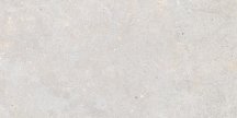 Graniti Fiandre Solida White Prelucidato 60x120
