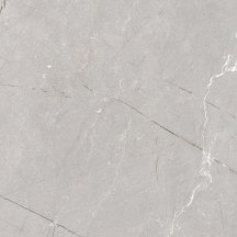 Gravita Larice Grey 60x60