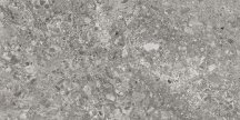 Idalgo Lunar Серый LLR 60x120
