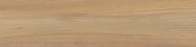Impronta Italgraniti Allure Olmo Ambre 30x120