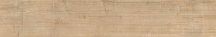 Impronta Italgraniti Alnus Neutro Antislip 20x120
