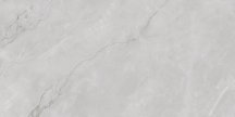 Infinity Ceramica Marmo Italiano Astonia Silver Glossy Silver Line 60x120
