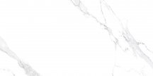 Infinity Ceramica Marmo Italiano Pearl Statuario Glossy Silver Line 60x120
