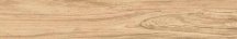 La Fabbrica Ava Honey Wood Olmo Nat R11 20x120