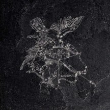 La Fabbrica Ava Pietra Lavica Aquila Gryphea 49x49