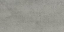 Land Civic Grey Natural 29.75x59.55