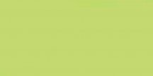 Land Gallery Slim Lime 29.75x59.55