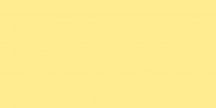 Land Gallery Yellow Pulido 29.75x59.55