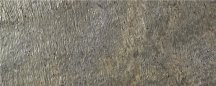 LAntic Colonial Natural Stone Delhi Pulido Bioprot 40x80