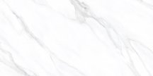 LCM Porcelain American Calacatta 60x120