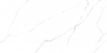 LCM Porcelain Atlantic Marble 60x120
