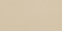 Leonardo Icon Almond 12 60x120
