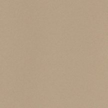Leonardo Icon Beige 60 60x60