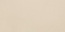Leonardo Icon Cream 12 60x120
