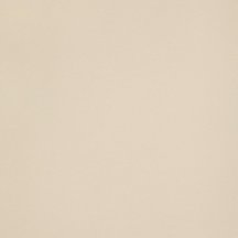Leonardo Icon Cream 120L 120x120
