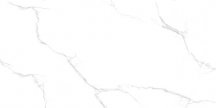 Maimoon Polished Silver Statuario Glossy 60x120
