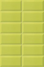 Mainzu Plus Bissel Y-Green 10x20