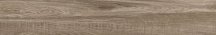 Marazen Porcelain Ryker Wood 19.5x120