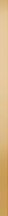 Meissen Organic Metal Gold Border 0.5x75