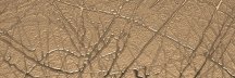 Mirage Reflet Bc Aurore 20x60