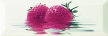 Monopole Fresh Decor Fresh Fresa 10x30