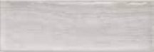 Monopole Genesis Gris Brillo 10x30