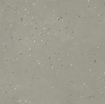 Mutina Primavera Grigio 120x120