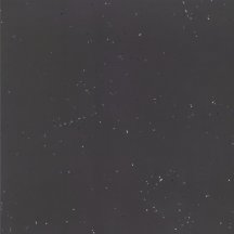 Mutina Primavera Nero 60x60