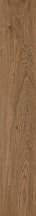 Naxos Alchymie Chestnut 20x120