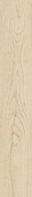 Naxos Alchymie Larix 20x120