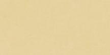Neodom Design Colors Blossom Sun Matt 60x120