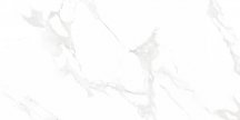 Neodom Supreme Venus Bianco Polished 60x120