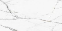 New Trend Polished Calacatta Regal 60x120