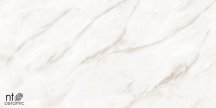 NT Ceramic Marmo Empire Pearl Endless 60x120