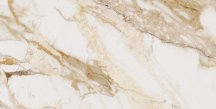 Ocean Ceramic Porcelain Loyal 60x120