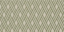 Ornamenta Miseria E Nobilta Greggio Carving Moss 60x120