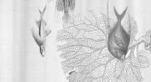 Ornamenta Operae Aquarium Grey 120x278