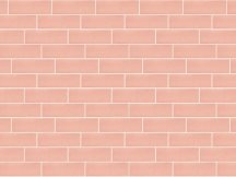 Ornamenta Pick N Brick Rosa 5x15