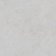Pamesa Belvedere White Matt 60x60
