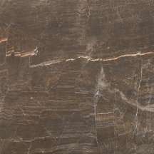 Pamesa Forvm Brown 60x60