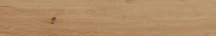 Pamesa Grove Umber 20x120