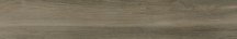Pamesa Rainier Taupe 20x120