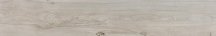 Pamesa Rovere Desert 25x150