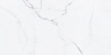 Pamesa Ultra Blanco 60x120