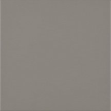Paradyz Bazo Grys Gres Monokolor Mat 19.8x19.8