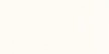 Paradyz Gamma Bianco Wall Polysk 9.8x19.8