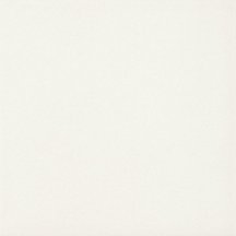 Paradyz Gamma Gammo Bianco Mat 19.8x19.8